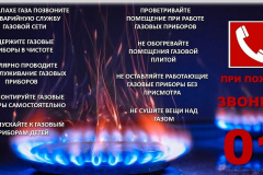 Г1